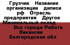 Грузчик › Название организации ­ диписи.рф › Отрасль предприятия ­ Другое › Минимальный оклад ­ 13 500 - Все города Работа » Вакансии   . Белгородская обл.